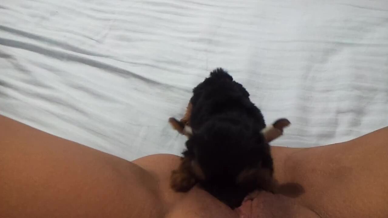 Puppy Hungry For Pussy Juice - BestialitySexTaboo - Bestiality Sex Taboo