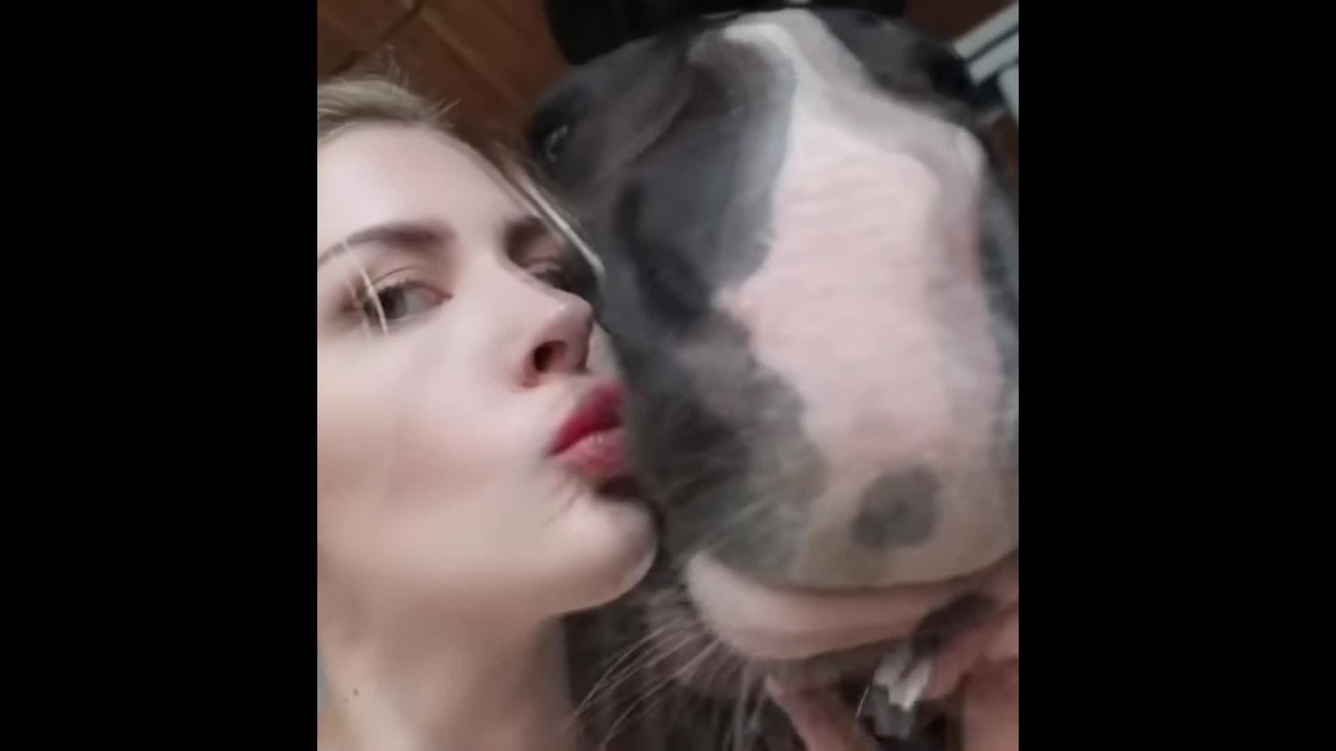 This girl on tiktok seems to really like her horse - BestialitySexTaboo -  Bestiality Sex Taboo