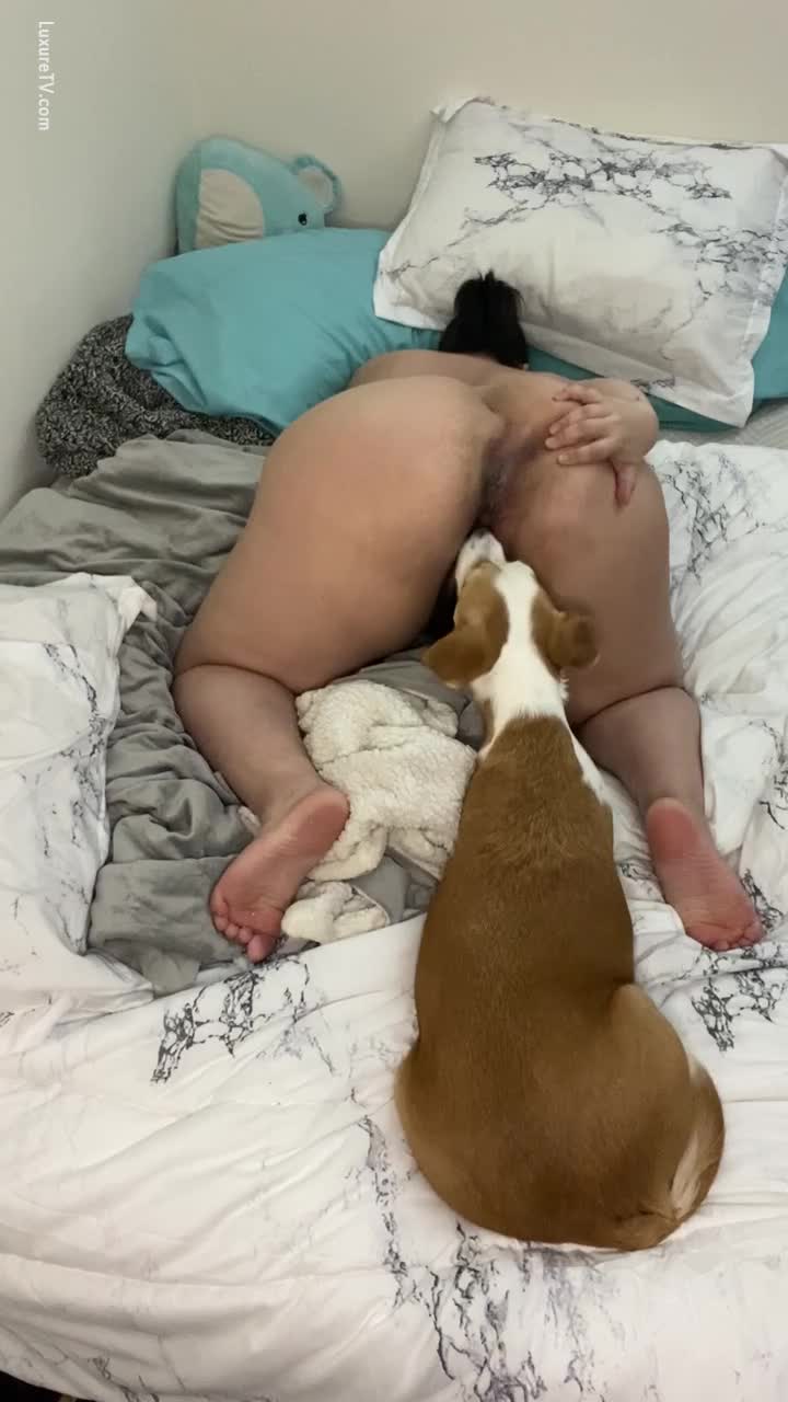 Bbw gets her ass licked by dog - BestialitySexTaboo - Bestiality Sex Taboo