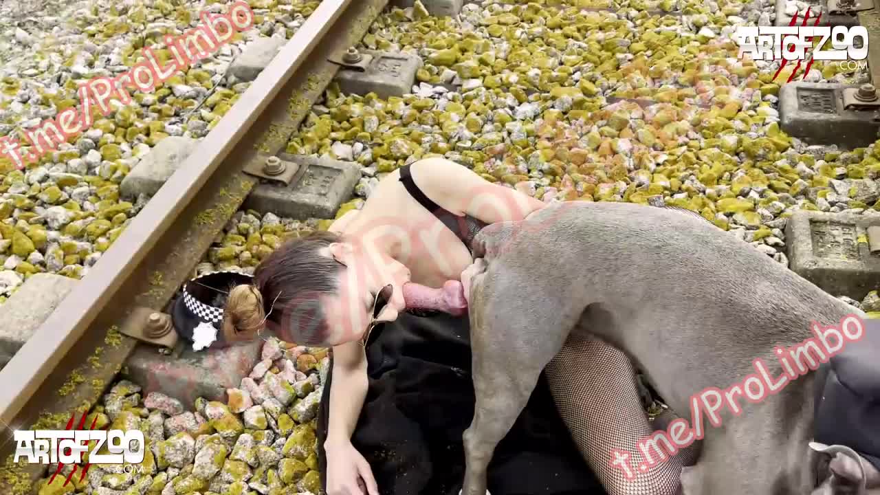 Dog on rails and K9state Artofzoo - BestialitySexTaboo - Bestiality Sex  Taboo