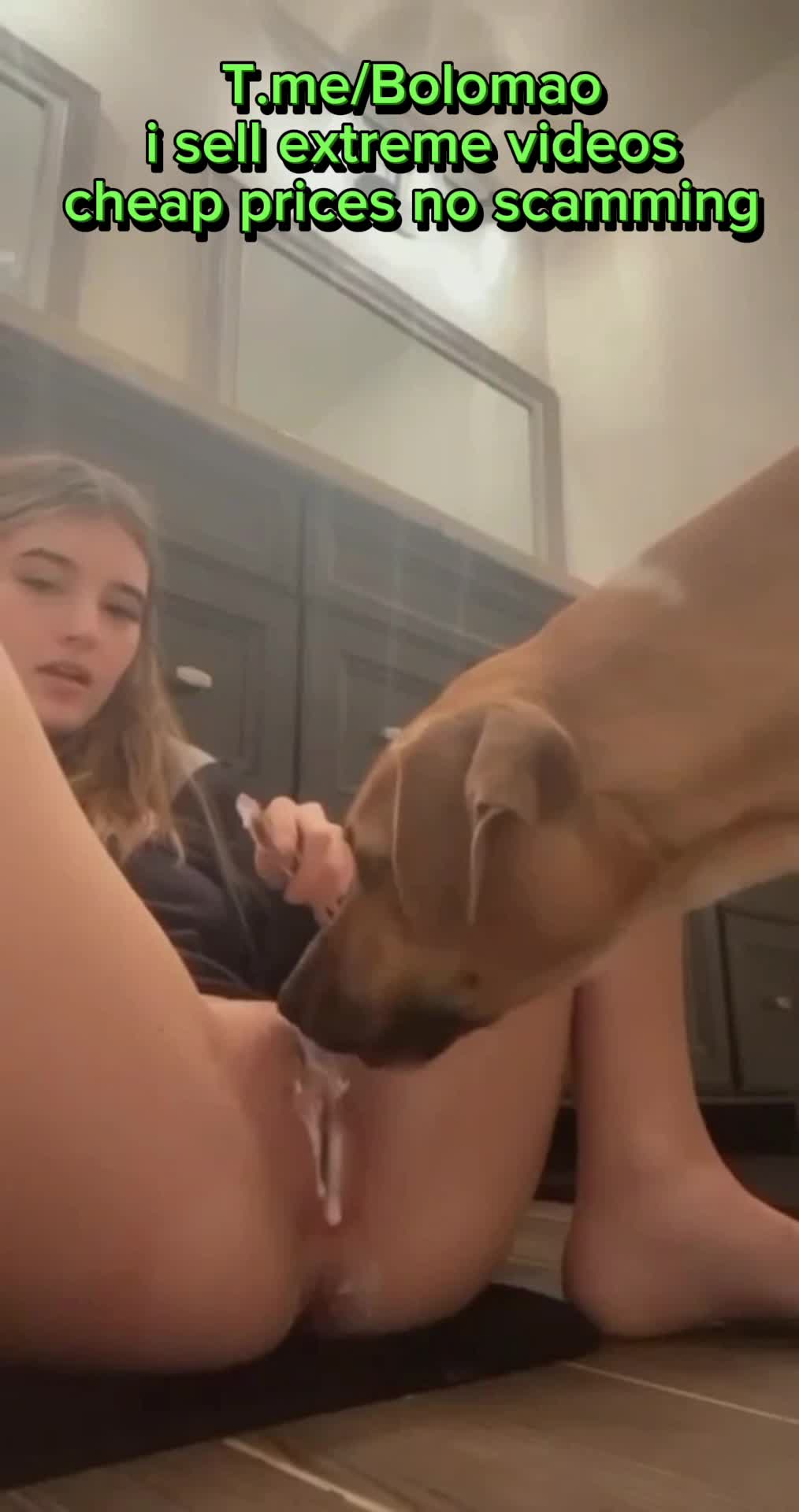 Dog licking peanut butter from her pussy - BestialitySexTaboo - Bestiality  Sex Taboo