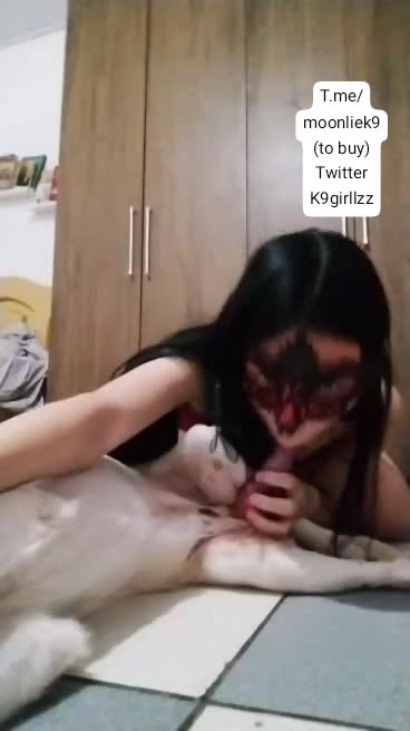 Bitch sucking dog s dick BestialitySexTaboo Bestiality Sex Taboo 