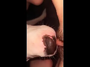 Hot Teen dog licking pussy