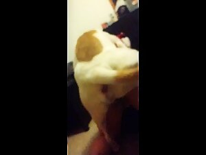 Gfs first time letting dog try to fuck
