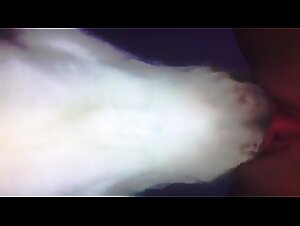 Great Close up dog licking deep inside pussy