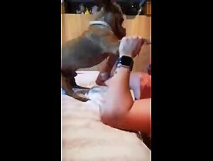 Little dog facefucking woman