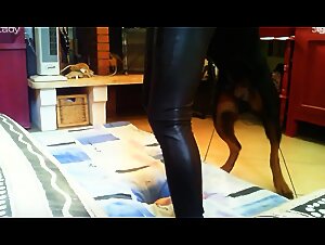 latex and dog