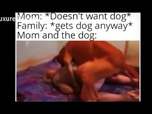 mom didnt want a dog