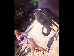 Elephant Tapping Girls Big Ass