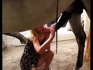 Horse fuck girl