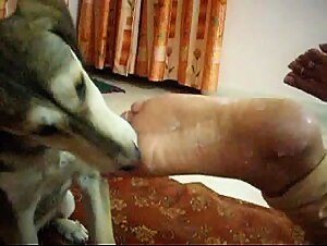 Dog Licking Indian Woman Sexy Feet and Soles