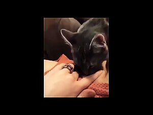 Cat licks teen pussy