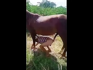 Brazilian burying a horse's cock up his ass