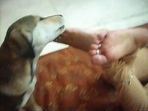 Dog Licking Indian Woman's Feet and Soles