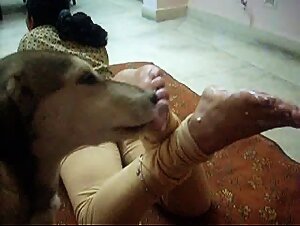 Dog Licking very sexy Feet and Soles of Indian Woman