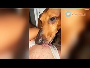 Weiner dog loves it