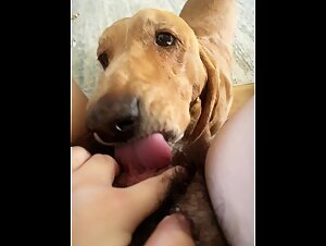 home alone teen makes doggy lick cunt