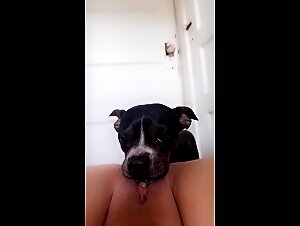 Dog licking teen pussy and slurping from her