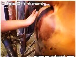 Asian eating cow pussy