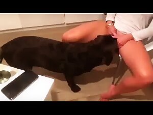 woman having sex with dog