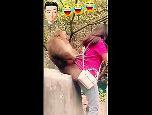 Lucky monkey