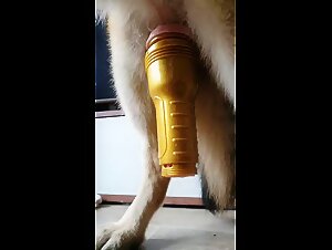 German Shepherd cums into fleshlight 2