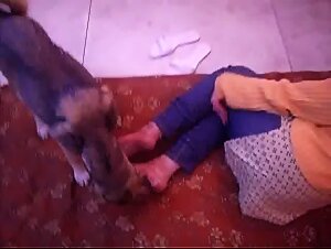 Stray Dog is licking cream from feet and soles of Indian Woman