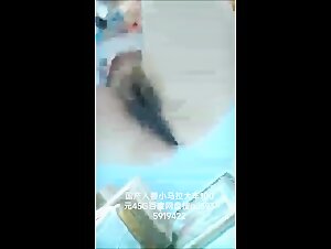 国产人兽小马拉大车百度网盘搜qq3935919422