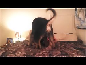 Dog fucks thin woman in the pussy and comes inside her