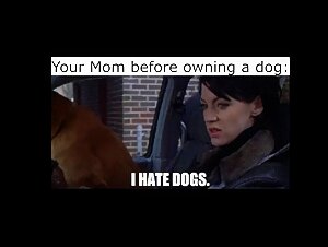 i hate dogs