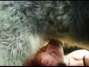 Very furry dog is having wild zoo sex outdoors with joy