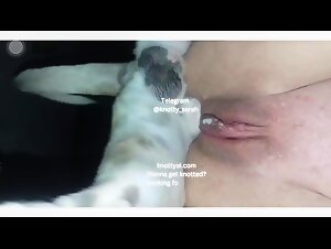 knottyai - dog fucks girl with knott